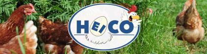 Huhn